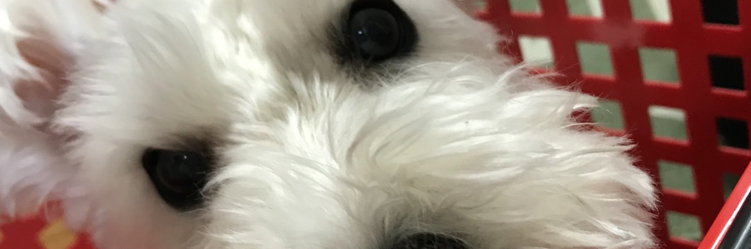 hrromi1's profile banner image