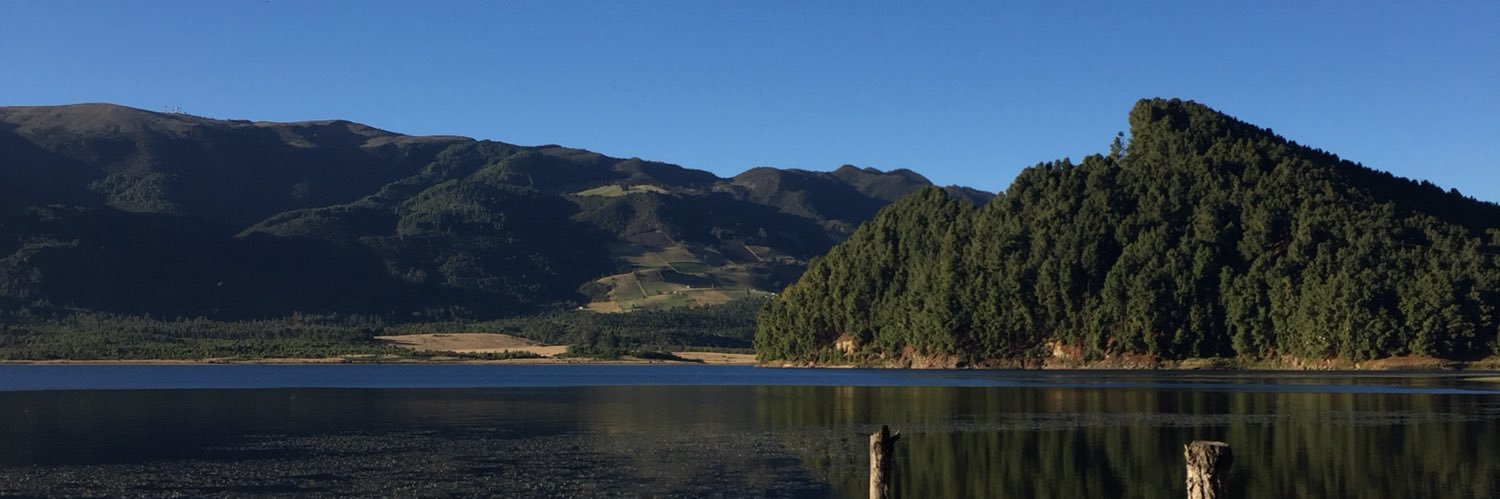 LushHarshM's profile banner image