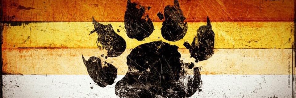 Southern_Country_Bear banner