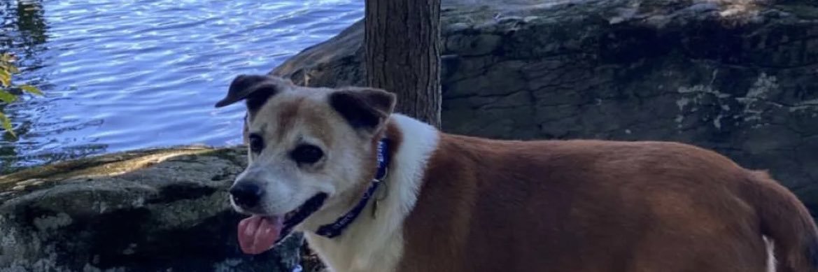 parkerduff1e's profile banner image
