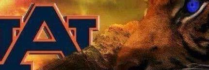 AUtigersoldier's profile banner image
