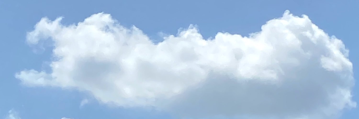 flsmmm's profile banner image