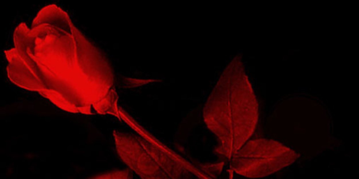 aysem_046's profile banner image