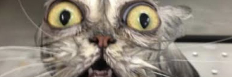 HarryMasonnn's profile banner image