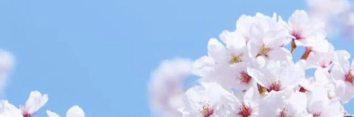 oz_ura's profile banner image