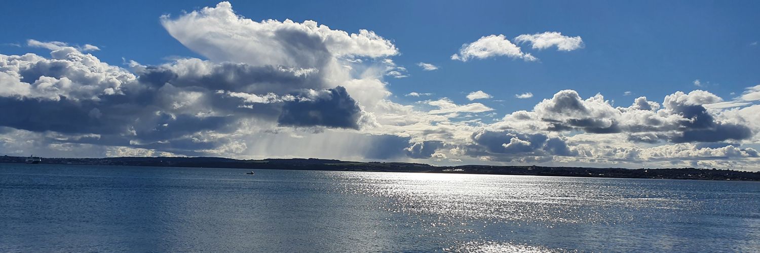 ashleighridler's profile banner image