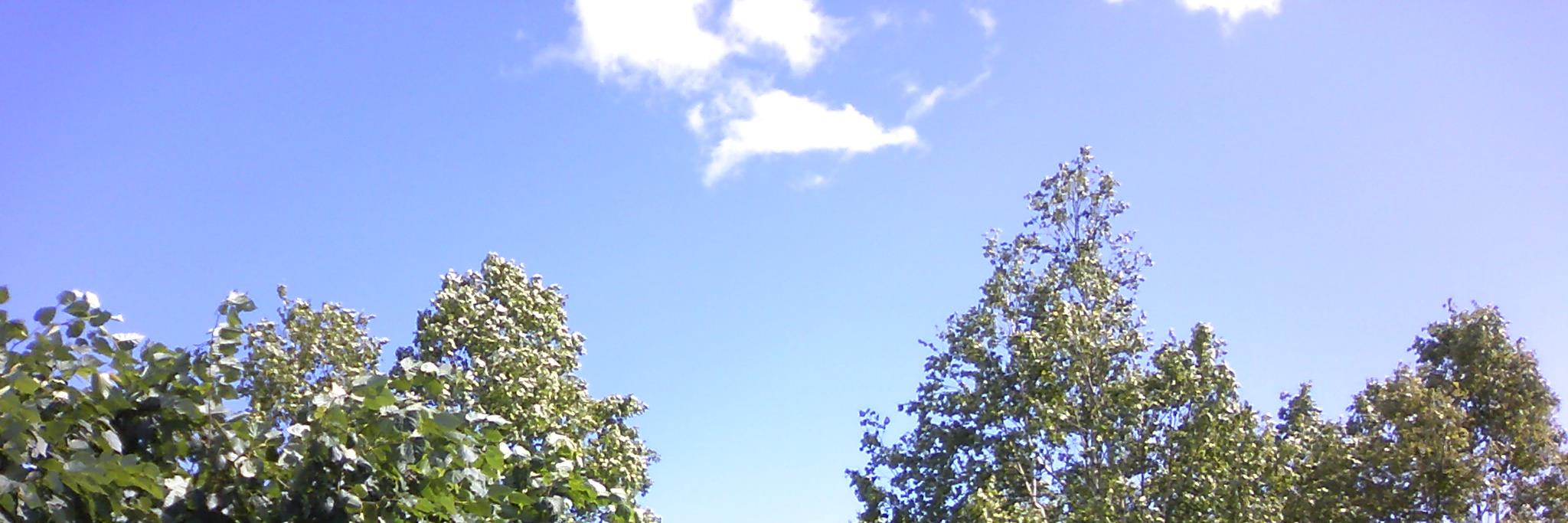 satoshimiz's profile banner image