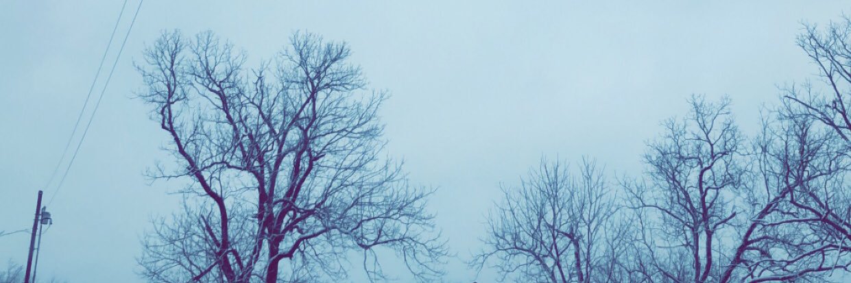 Alden_Chambers's profile banner image
