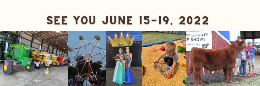 Henry County Fair banner