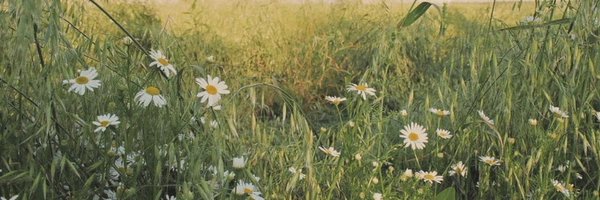 velezacoustics Profile Banner