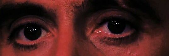havanaclubpapi's profile banner image