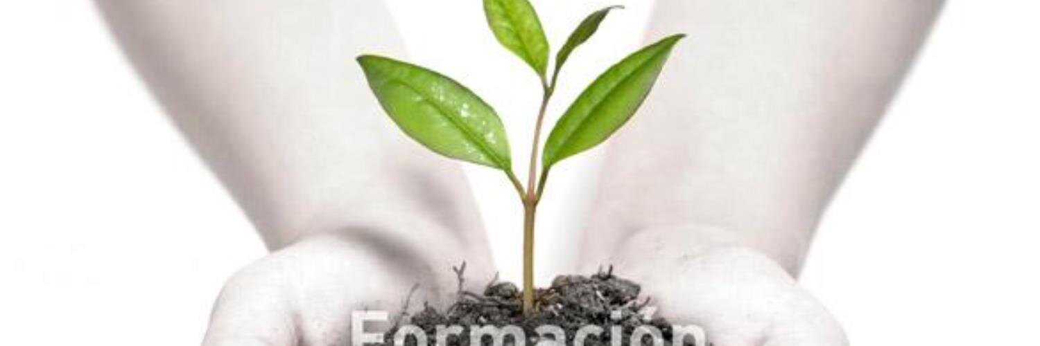 Culturae banner