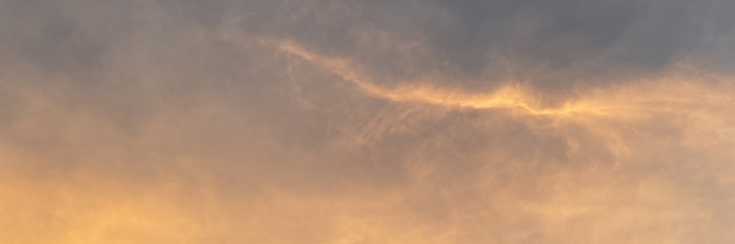pjaznn's profile banner image