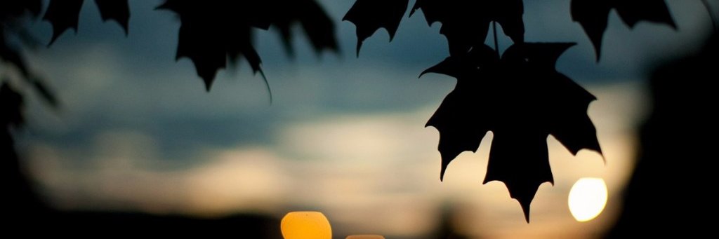 DaiMisUrb's profile banner image