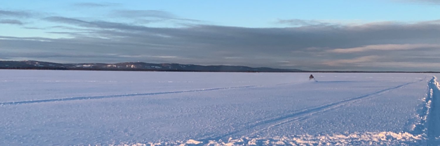 Labrador_sister's profile banner image
