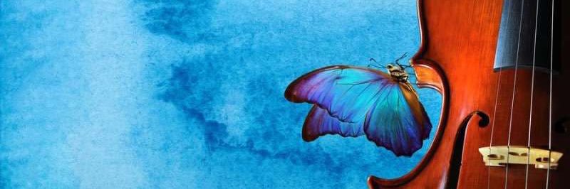 SulafK's profile banner image