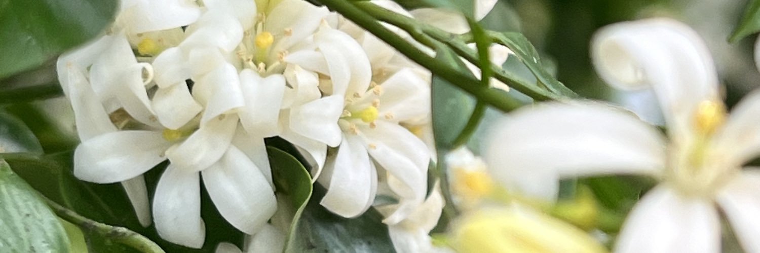 YanuarArsyads's profile banner image