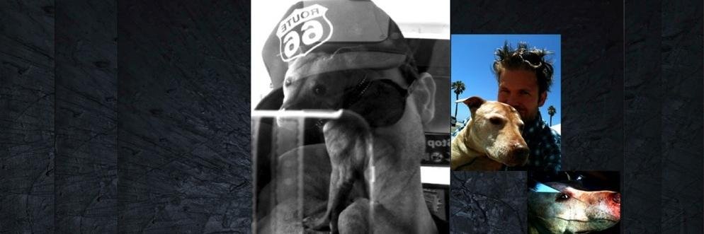 MoLeaks's profile banner image