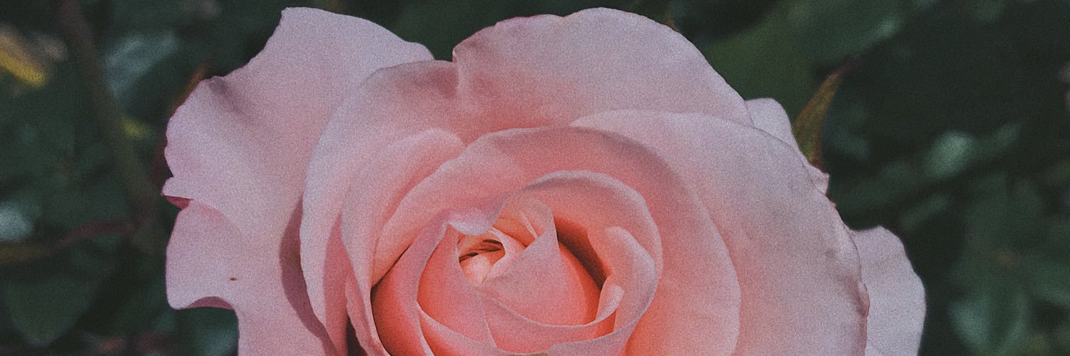 josephadivari's profile banner image