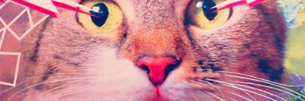 KatherinePryor Profile Banner