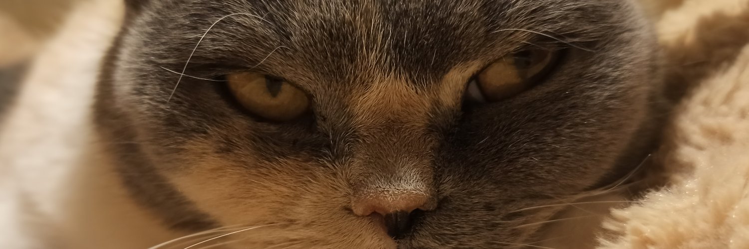 SentrySkyhawk's profile banner image