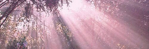 AustenneGrey's profile banner image