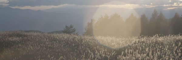 doa Profile Banner