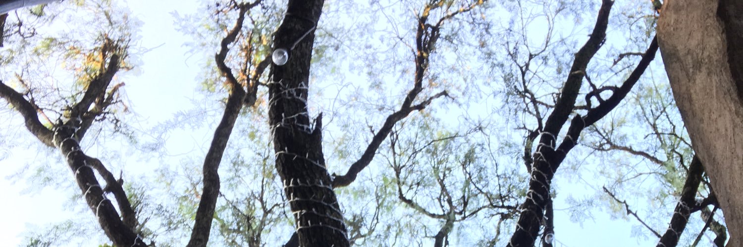 René Espinoza  banner