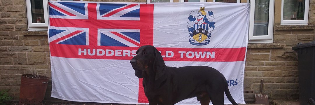 David_HTAFC's profile banner image