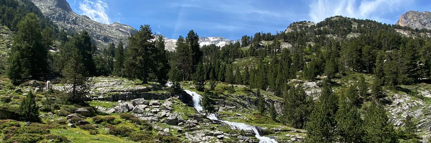 casadelamarmota's profile banner image