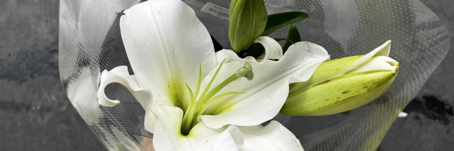 Syazweena_'s profile banner image