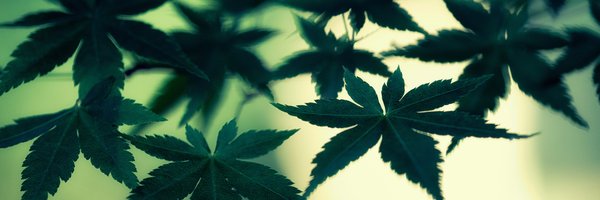 BCChronicInc Profile Banner