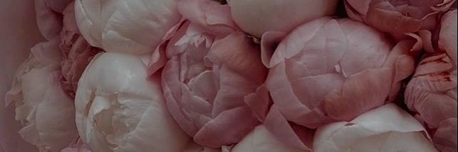 Jethor81's profile banner image