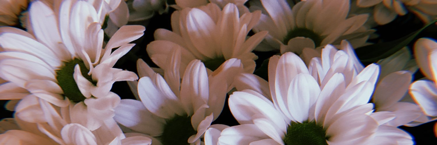 nastyaedr's profile banner image