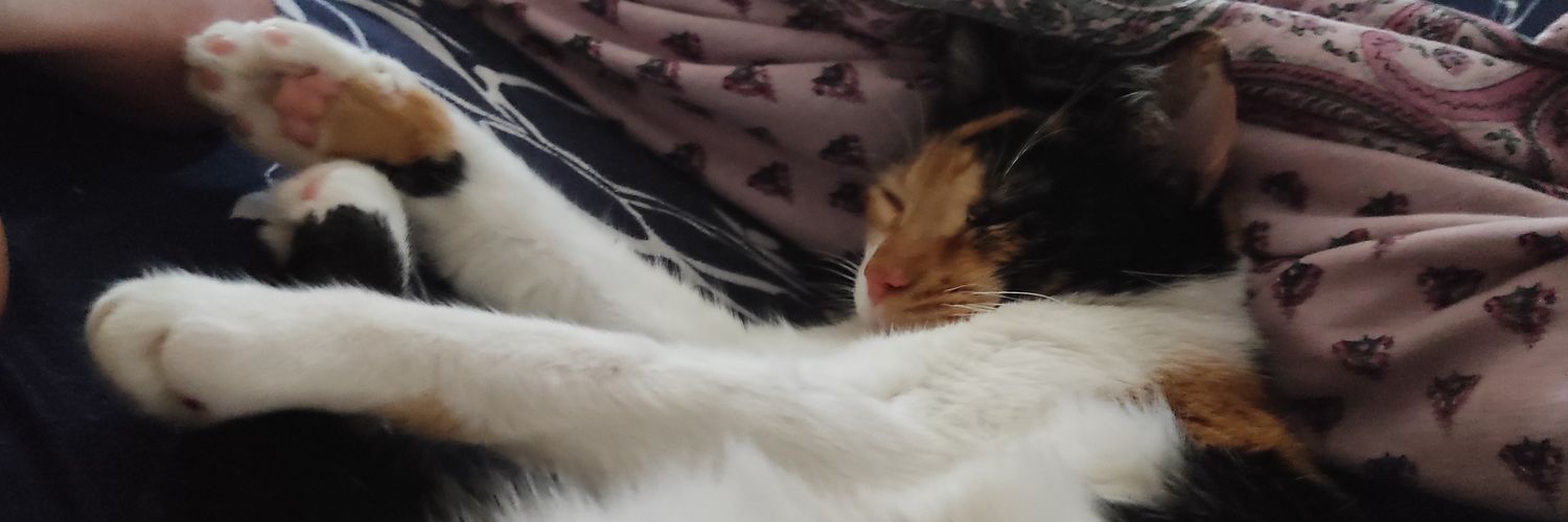 TanithIsis's profile banner image