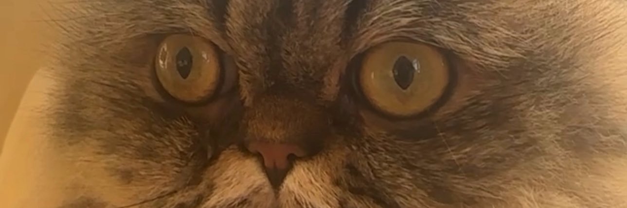 mozamohdm's profile banner image