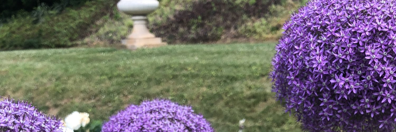 onwardwriter's profile banner image