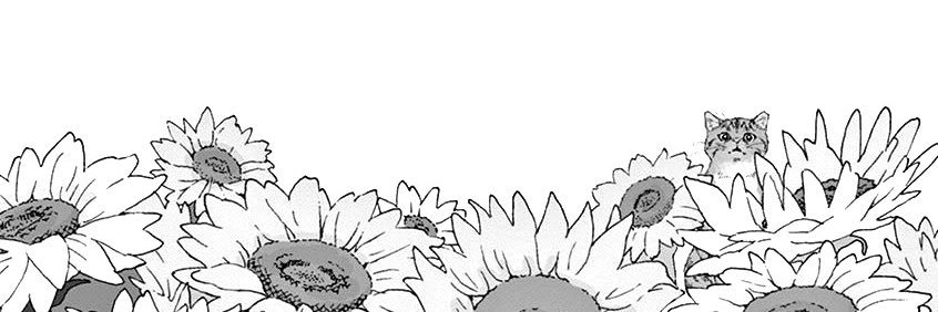 dzaenjueri's profile banner image