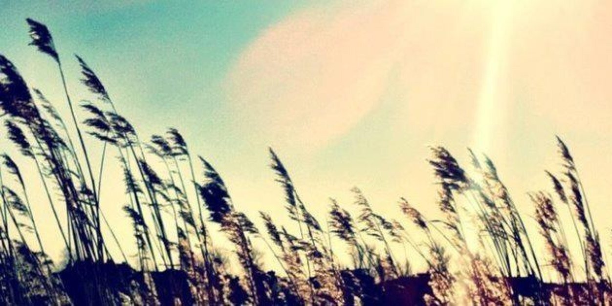JamieCormier's profile banner image