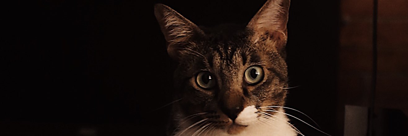 ShairIsmail's profile banner image