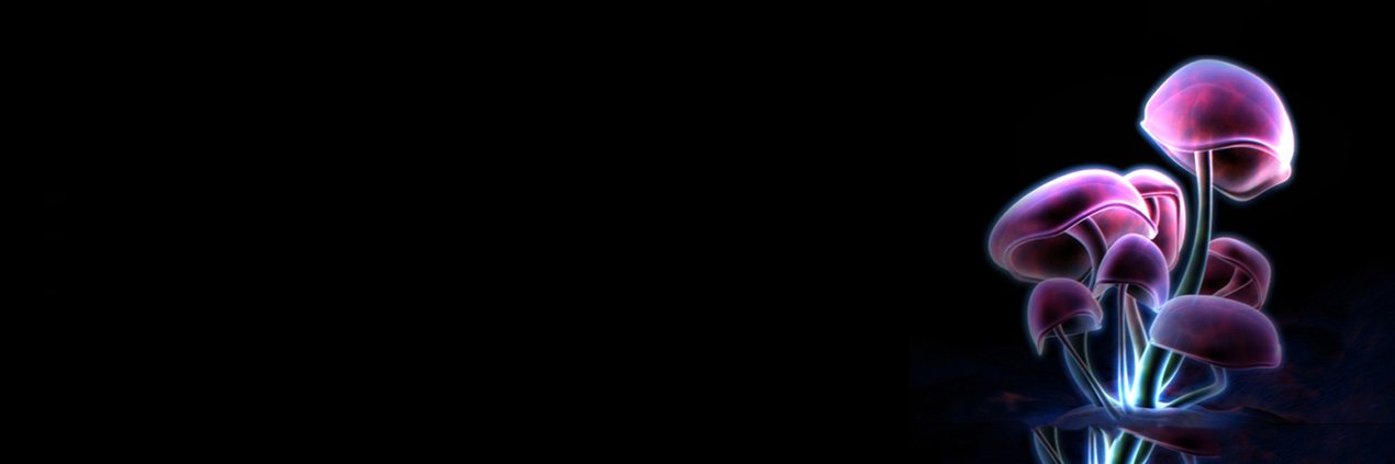elsmaeke's profile banner image