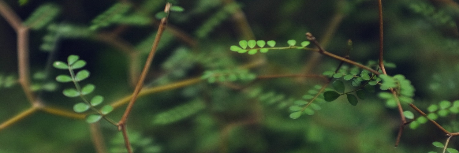 mw82's profile banner image