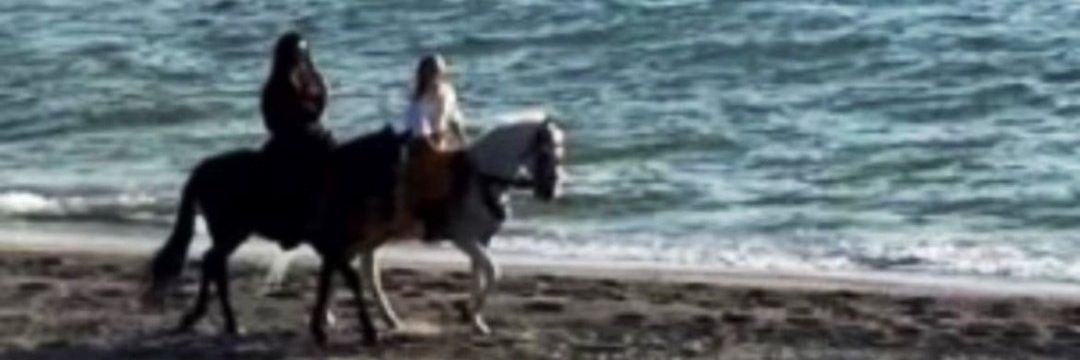 🤡 Arya🇵🇸 🥭 banner