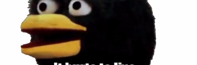 IamAscrun's profile banner image
