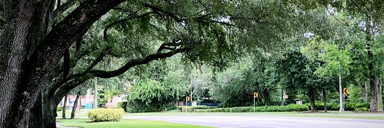 HRGuyMike's profile banner image