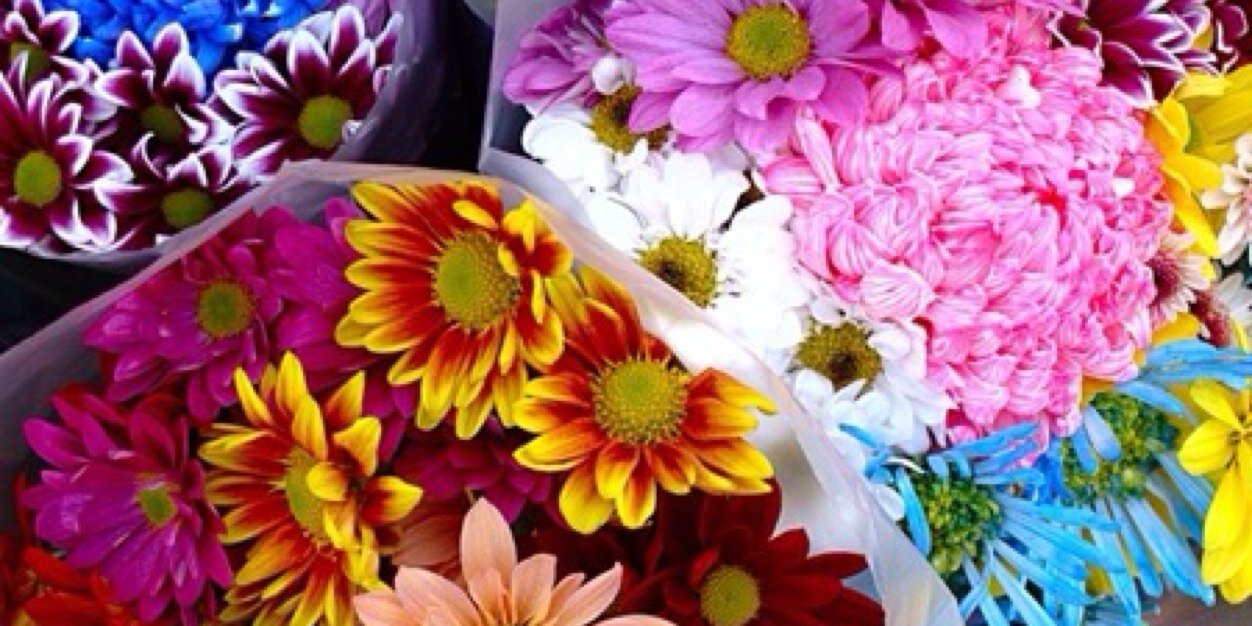Alwadi_ah's profile banner image