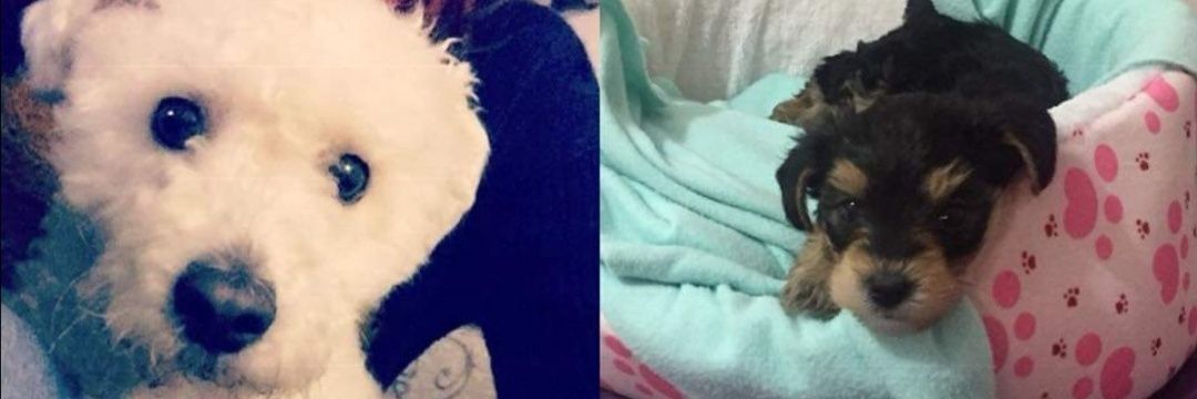 𝕊𝕠𝕝𝕔𝕚𝕥𝕠 🤟💜 banner