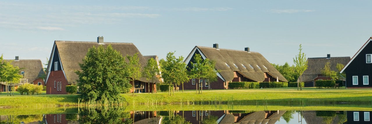 Frank Bulthuis banner