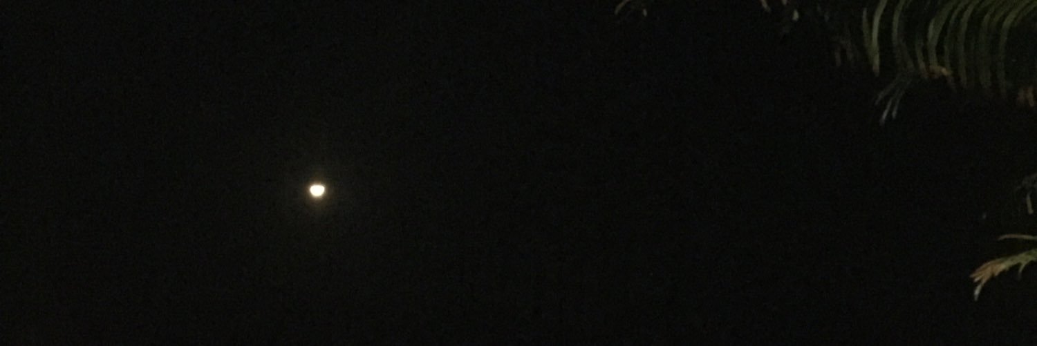 nanasharipuddin's profile banner image