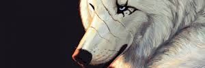 gabdekonoha's profile banner image